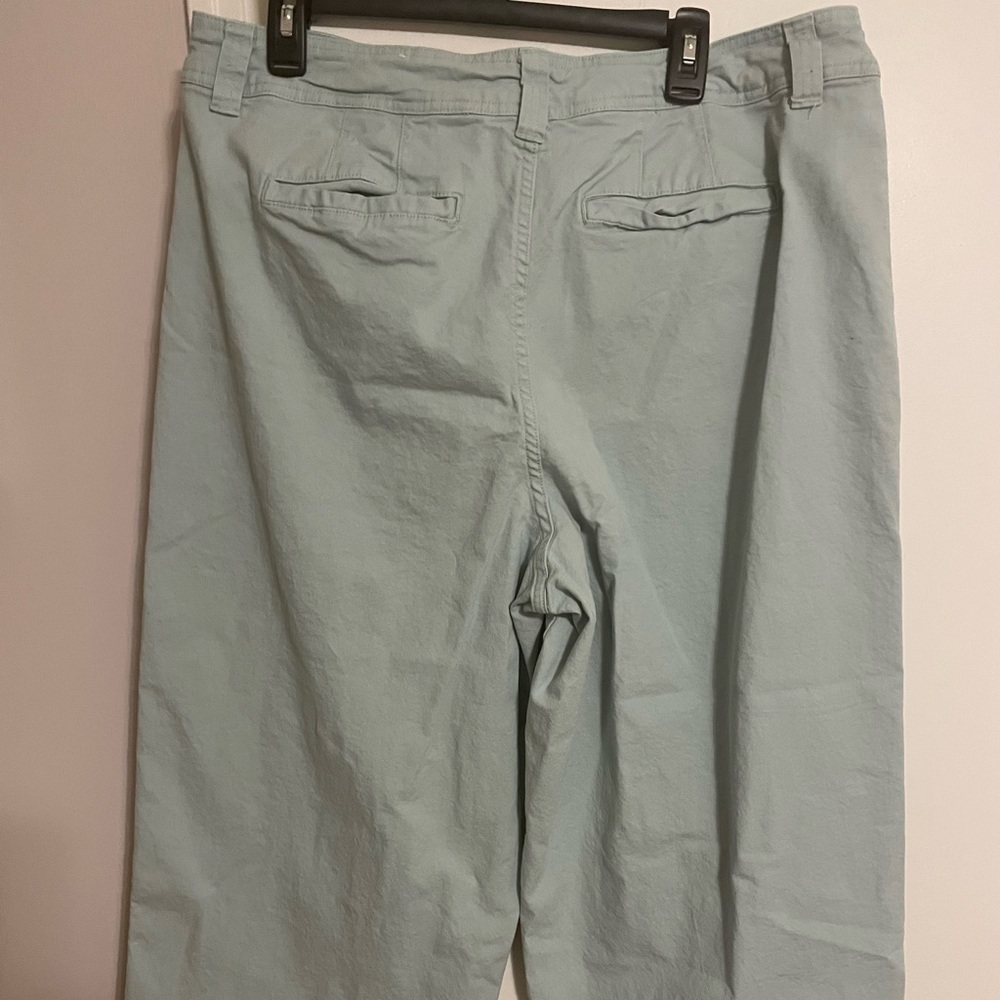 A New Day by Target size 18 Mint Aqua Crop Pants